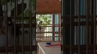 VID 20240627 182821