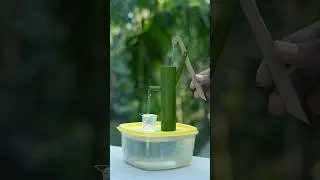 Mini Bamboo Fountain: A Zen Oasis in a Box
