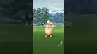 Can I Get A Shiny Hisuian Growlithe in Pokémon Go? 