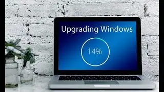 How to update Windows 10/8/8.1/7