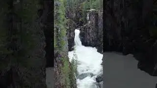 Таёжные реки. 03.08.21г.