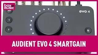 Evo by Audient EVO 4 Smartgain | Bax Music