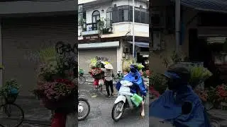 Flowers in Hanoi 🇻🇳 