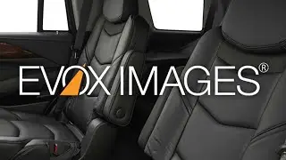 EVOX Images