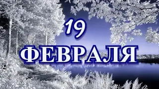 19 февраля День кита и другие праздники