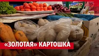 Цены на картофель и другие овощи резко выросли в Ростове осенью. Что об этом думают горожане?|161.RU