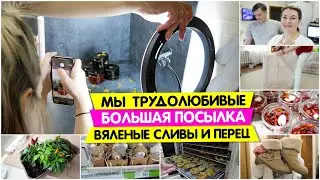 Мы ТРУДОЛЮБИВЫЕ / БОЛЬШАЯ посылка / Фикс Прайс / ВЯЛЕНЫЕ СЛИВЫ и ПЕРЕЦ / Vika Siberia Vlog