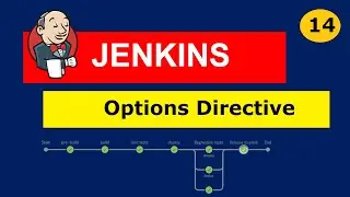 #14 Jenkins Pipelines | Options Directive