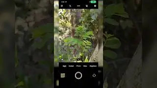 Mobile trending photography 📷 vivo mobile photography #viral #trend #shorts #shortsfeed