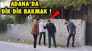 ADANA’DA DİK DİK BAKMA ŞAKASI ! 