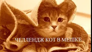 Кот в Мешке Что же мне выпало в Январе 2024