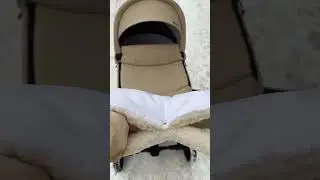 На прогулку