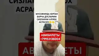 АВИБИЛЕТЫ +79953138304 