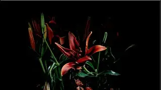 Kid Moxie - Slow Escape - Not To Be Unpleasant, But... Soundtrack