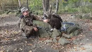 ГРИФ ГАРИК ТАКОЕ ВОТ ЧУДО