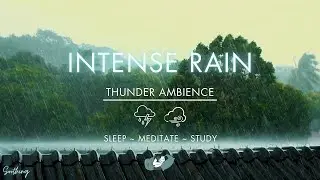 Heavy Rain With Wind and Thunder | NO ADS | Rain Sounds For Sleeping