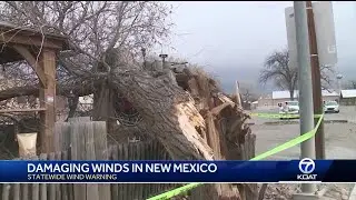 Fallen tree damages a restaraunt in Los Lunas