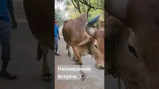 9 февраля 2024 г.