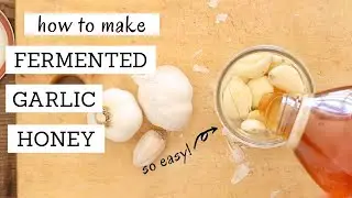 How to Make Fermented Garlic and Honey | Bumblebee Apothecary