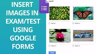 How to insert images to questions in Google Forms