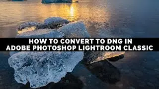 How To Convert Raw Photos To Dng In Adobe Photoshop Lightroom Classic