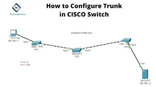 How to Configure Trunk in Cisco Switch | Networkforyou | CCNA 200-301