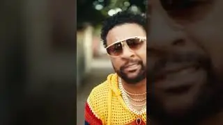 MOVE OFFICIAL VIDEO OUT NOW - SHAGGY FT LAVINIA