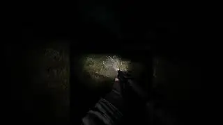 Why this is my worst nightmare in Stalker Gamma 