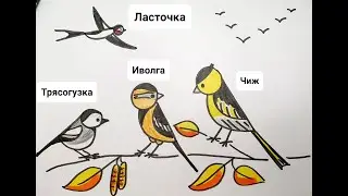 Как нарисовать птиц? Перелётные птицы  / Нарисуй-ка!