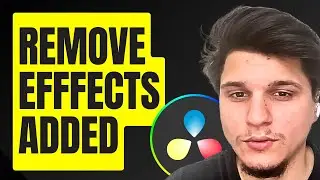 how to remove efffects added to video in davinci resolve 19