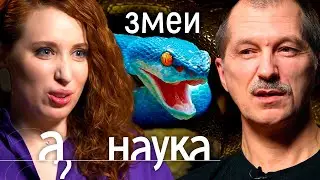 Что делать при укусе змеи? Чей яд самый опасный? И как выглядит змеиная любовь? Евгений Рыбалтовский