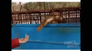 ЭЭЭ, ТЫ ЧО ТЁТЯ,ПОПУТАЛА??