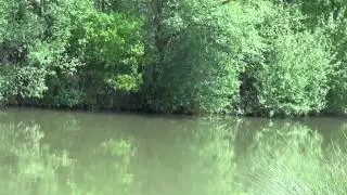 HORAM MANOR FARM FISHERY, HEATHFIELD, EAST SUSSEX, ANGLERS MAIL TACTICAL BRIEFINGS