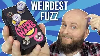 Steamed Hams but it's the Weirdest Fuzz Pedal Ever - Gojira FX Noise Ensemble Fuzz Review And Demo