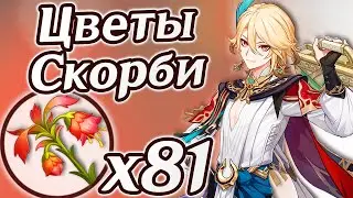 Цветы скорби 81шт. Где найти все Цветы скорби. Маршрут фарма Цветов скорби. Геншин | Genshin Impact