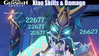 Genshin Impact - LvL 80 Xiao Skills & Damage Showcase (Test Domain)