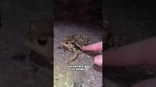 Поспорил на свою голову 😳
