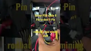 Server PSU Cable 6 Pin to dula 8 Pin .