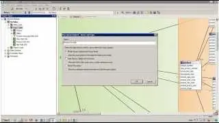 IBM Cognos 10 Framework Manager Determinants