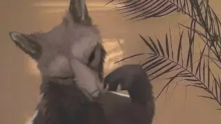 Интелегент конча. [2/2, 2/3, 3/3] | wildcraft | pvp | arena | TheNakyrennoe