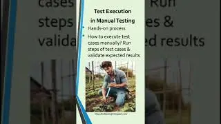 Test Execution in Software Testing-Test Execution in Manual Testing-Test Execution-Software Testing