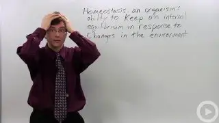 Homeostasis(HD)