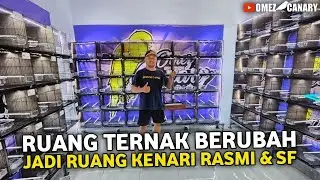 RUANG TERNAK OMEZ CANARY KITA GESER JADI RUANG KENARI IMPORT‼️SIAP-SIAP BELANJA RASMI DAN SF