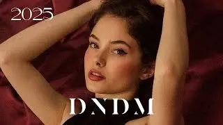 DNDM - We Fly (2025) Retro
