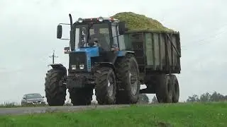 Уборка силоса 2021: Claas Jaguar 870 VS МТЗ 82,1221,1222,3522