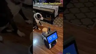 Giving Dogs a Treat using Amazon Astro and Furbo 360 