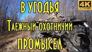 В угодья, таежный охотничий промысел. Будни таежников, зимовья, каракат. Часть 1 видео 4К