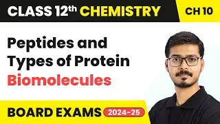 Peptides and Types of Protein - Biomolecules | Class 12 Chemistry Chapter 10 | CBSE 2024-25