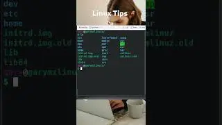 How To Quickly Clear The Linux Terminal