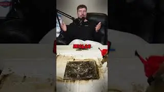 Мистер бист следующий Президент?  